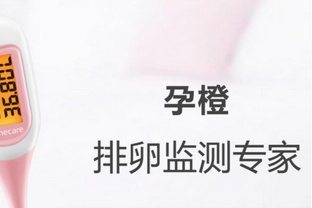 孕橙