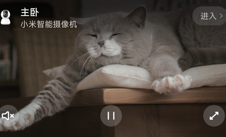 米家智能插座软件