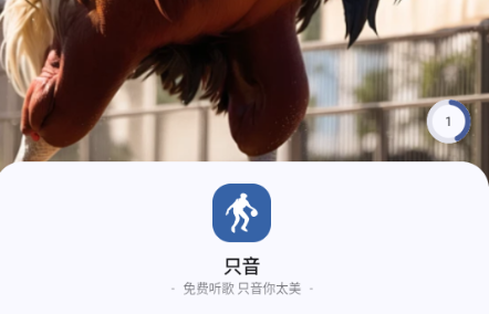 只音音乐