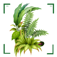 识万物扫一扫app手机版