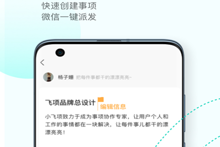飞项app