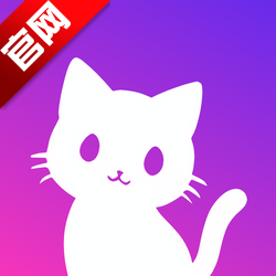 小红猫宠物写真