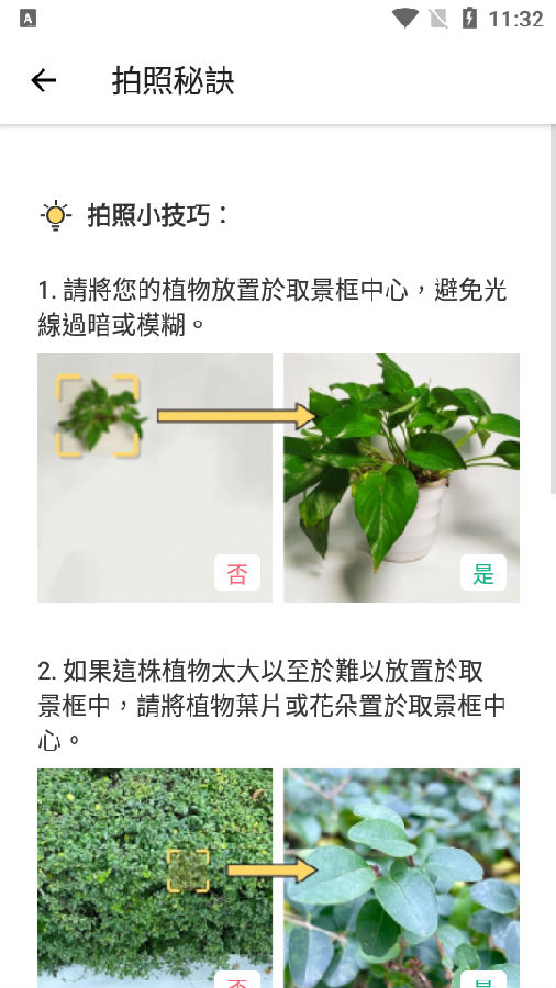拍照识花Picture高级版
