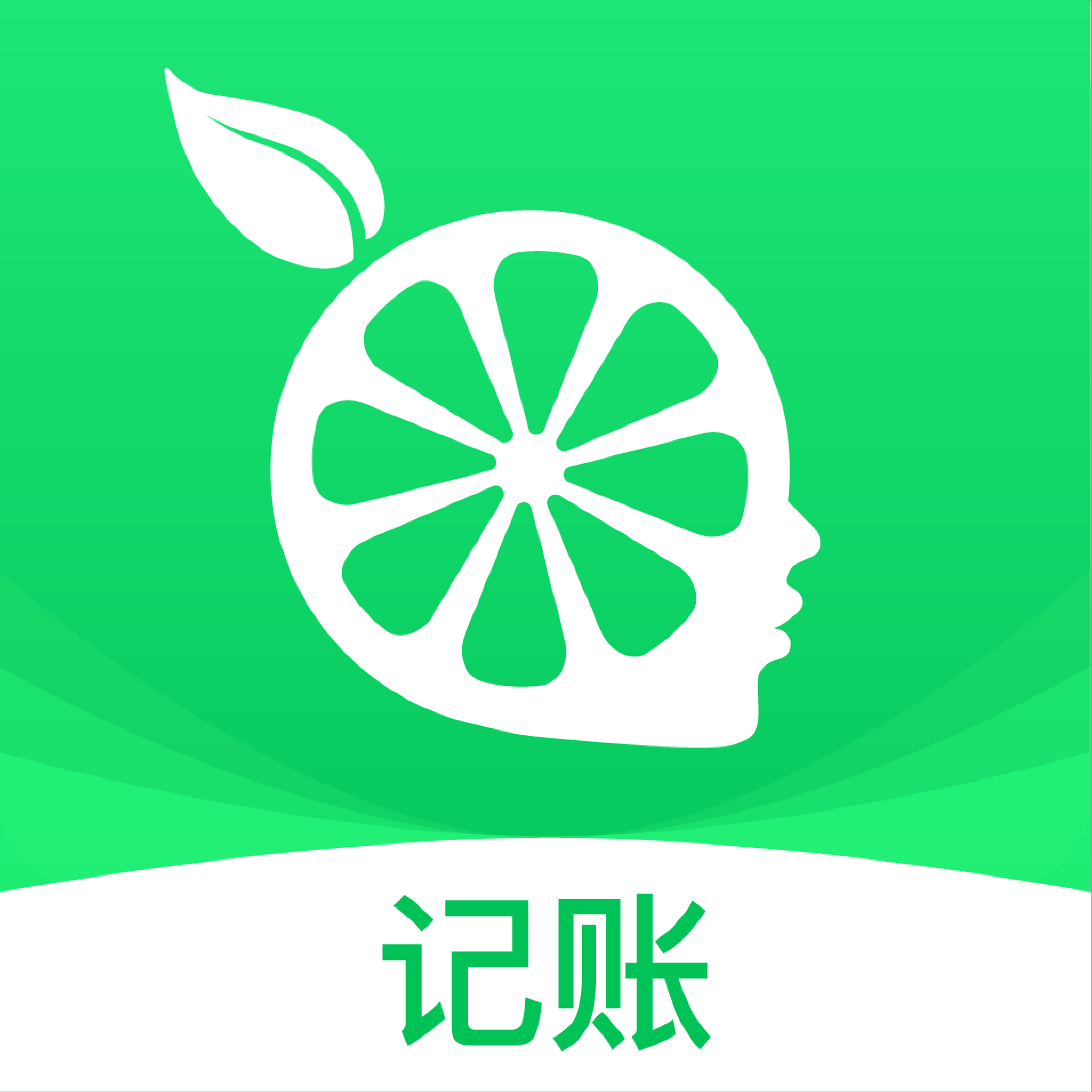 柠檬云财务app
