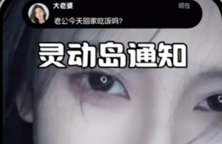 黑标灵动通知app官方版