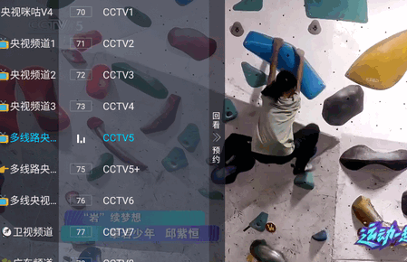 DIY直播软件TV版