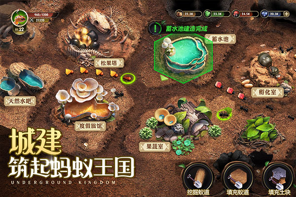 小小蚁国九游版
