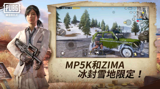 pubg国际服