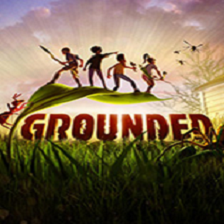 禁闭求生Grounded